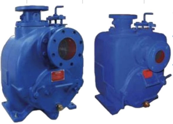 CRI Pumps Sewage Pump - ECN-250D - 650 to 1350