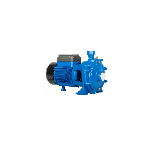 CRI Pumps Centrifugal Pump - CTB2-07/22M (1Phase) - 2.20 kW